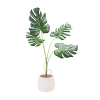 biljka - Rastline - 