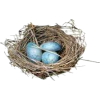bird nest - 动物 - 