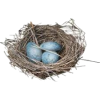 bird nest - Uncategorized - 