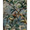 bird photo - Background - 