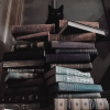 black cat and books photo - Uncategorized - 