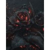 black rose - Uncategorized - 