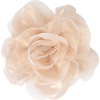 Rose - Anderes - 