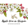 blossoms - Plantas - 