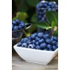 blueberries - Mie foto - 