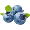 blue berry - フルーツ - 