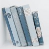 blue books - 相册 - 