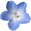 blue flower - 傘・小物 - 