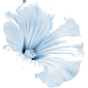 blue flower - Anderes - 