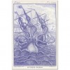blue version of 1801 kraken illustration - Ilustracije - 