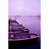 Boat - Minhas fotos - 