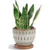 bohemian plant pot - Pflanzen - 