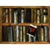 bookshelf - Иллюстрации - 