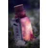 bottle - Bevande - 