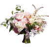bouquet - Biljke - 