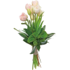 bouquet - Rastline - 