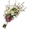 bouquet - Biljke - 