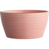 bowl - Uncategorized - 