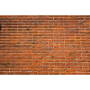 brick wall - Fundos - 