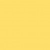 bright yellow - 插图 - 