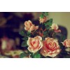 Roses - Mie foto - 