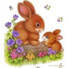 bunnies - Animais - 