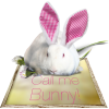 Bunny White - Tiere - 