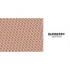 burberry 2 - Mie foto - 