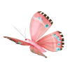 butterfly - Животные - 