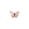 butterfly - Zwierzęta - 