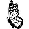 butterfly - 動物 - 