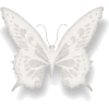 butterfly - Animali - 