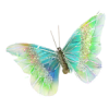 butterfly - Animais - 