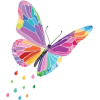 butterfly - イラスト - 