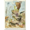 c1930 French OCEANOGRAPHY poster - Ilustrationen - 
