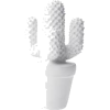 Cactus Filler - Uncategorized - 