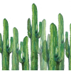 cactus - Plants - 
