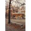 carousel in Paris - Natura - 