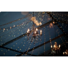 chandelier and lights - ライト - 