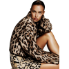 cheetah model - Anderes - 