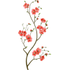 Cherry Blossom Branch - Uncategorized - 