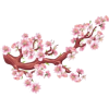 cherry blossoms - 饰品 - 