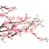 cherry blossoms - Предметы - 