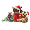 christmas cat - Objectos - 