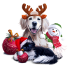 christmas pets - Objectos - 