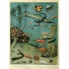 circa 19th century French ocean drawing - Ilustracje - 