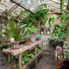 classic greenhouse - 建筑物 - 