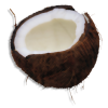 Coconut Brown Food - Namirnice - 