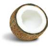coconut - フード - 