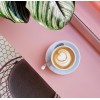 coffee and plants - Bevande - 